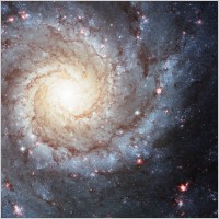messier_74_ngc_628_spiral_galaxy_217310.jpg