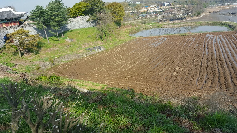 concert  ground  2.jpg