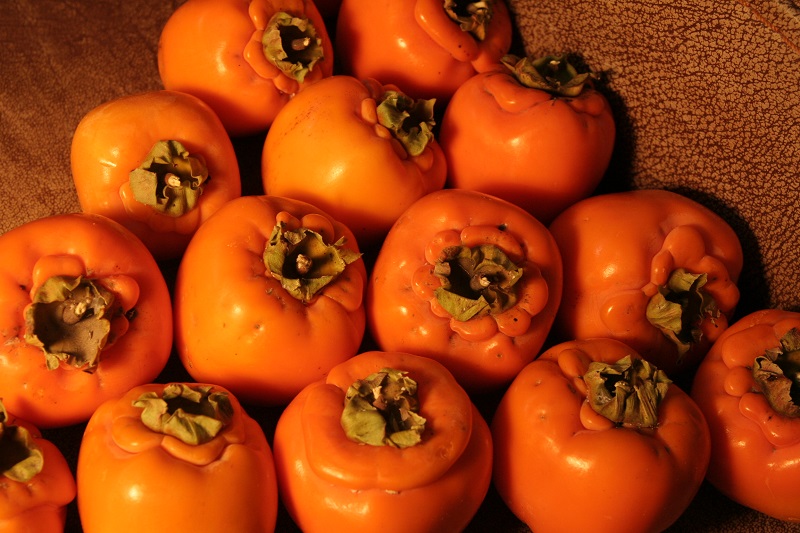 persimon jangjun800.jpg