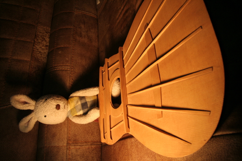 brahman philos guitar...2...800..IMG_8399.JPG