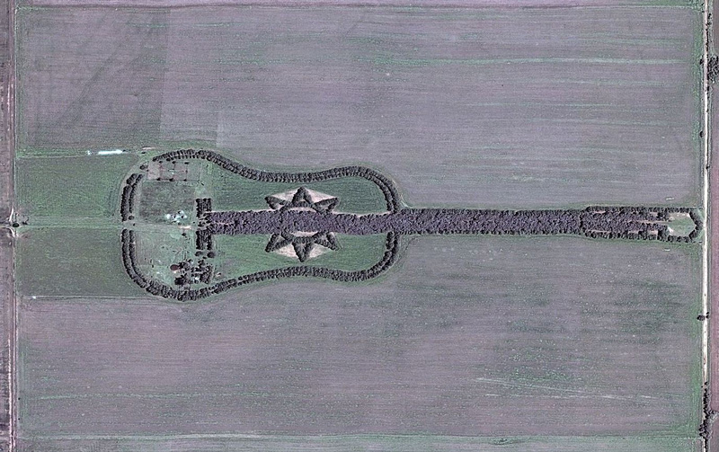 guitar-shaped-forest-image-21.jpg
