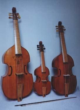 viol1.jpg