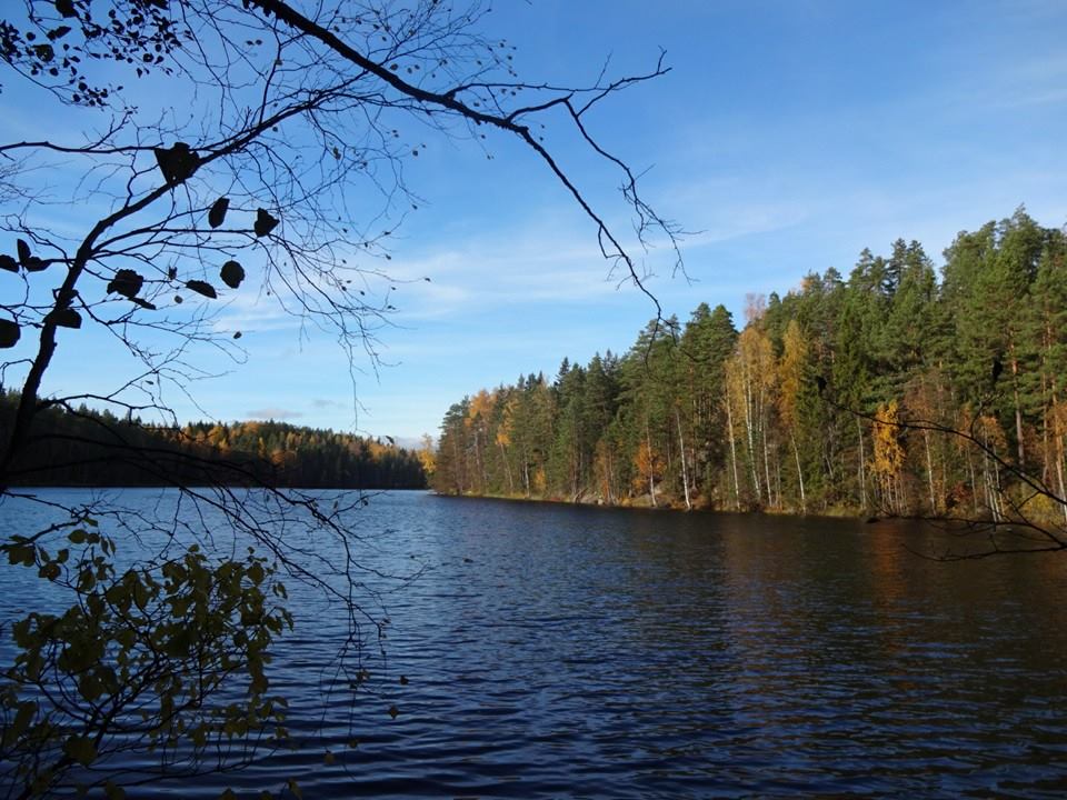 핀랜드 Espoo Nuuksio National Park.25.jpg
