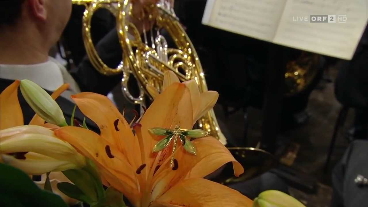 Vienna Philharmonic New Year's Concert 2016 - Part 2.mp4_003109670.jpg