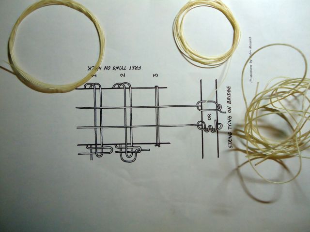 DSC03244 lute fretting.jpg