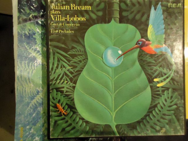 DSC03387 villalobos concerto.jpg