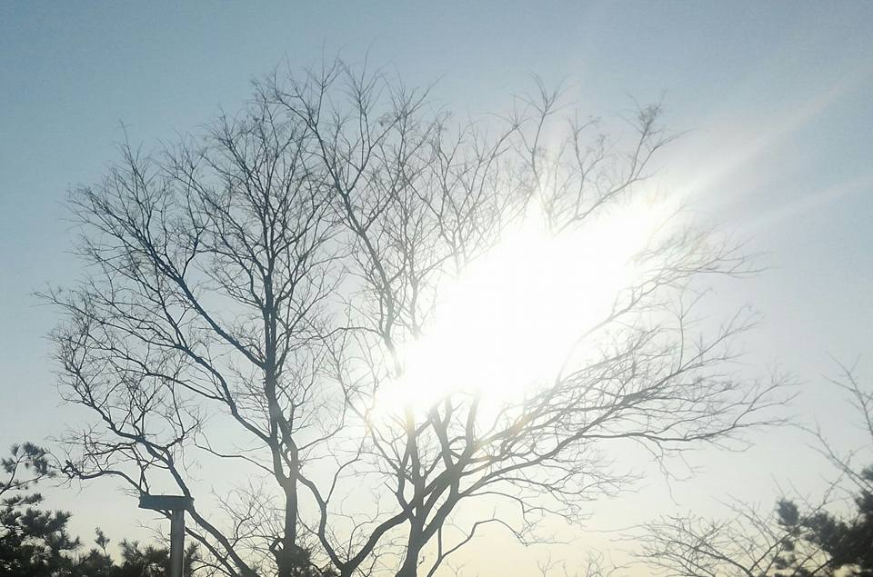서울성곽 낙산공원에서 바라보는 겨울오후 태양.jpg