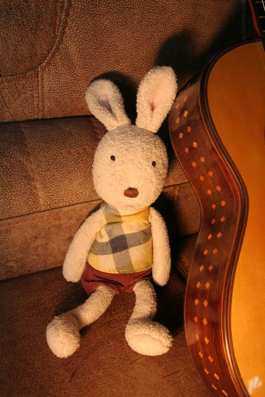 brahman guitar..800..IMG_8392.jpg