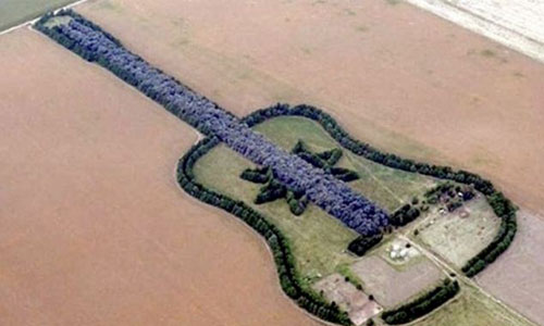 guitar forest.jpg