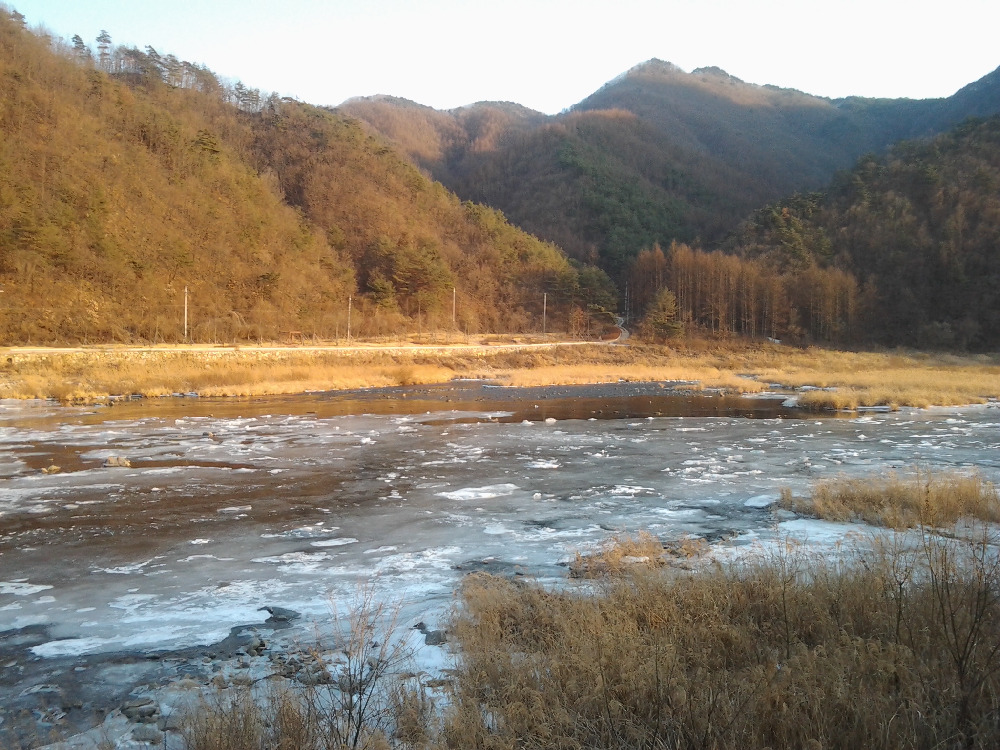 NakDong River-morning3.jpg