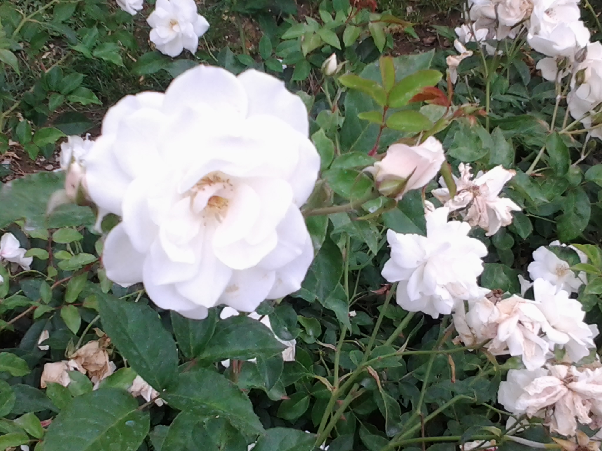 2013-06-08 19.03.06.jpg