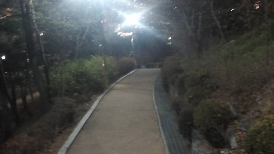 서울성곽밤낙산공원밤산책길.jpg