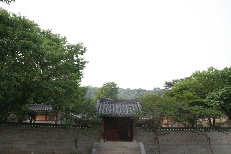 kangwha-korea-800.gif