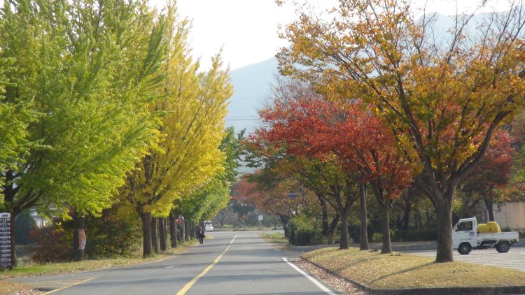 통일전 부근.jpg