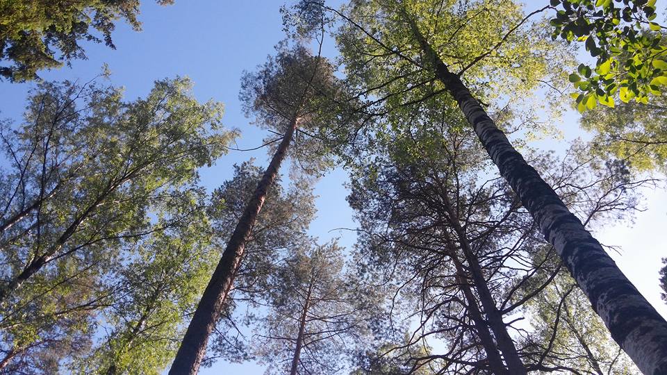 핀랜드14Soukka, Etelä-Suomen Lääni,.jpg