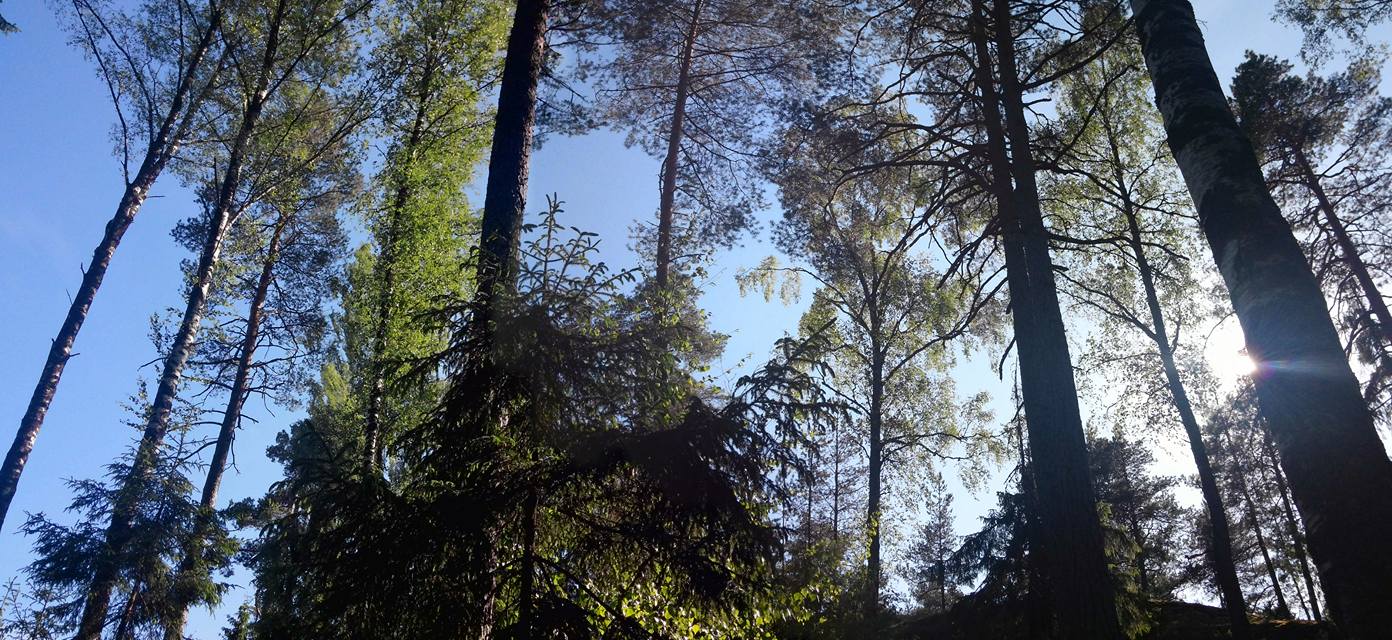 핀랜드15Soukka, Etelä-Suomen Lääni,.jpg