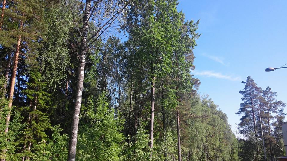 핀랜드1Soukka, Etelä-Suomen Lääni,.jpg