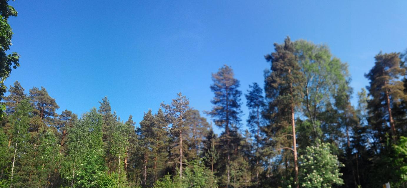 핀랜드18Soukka, Etelä-Suomen Lääni,.jpg