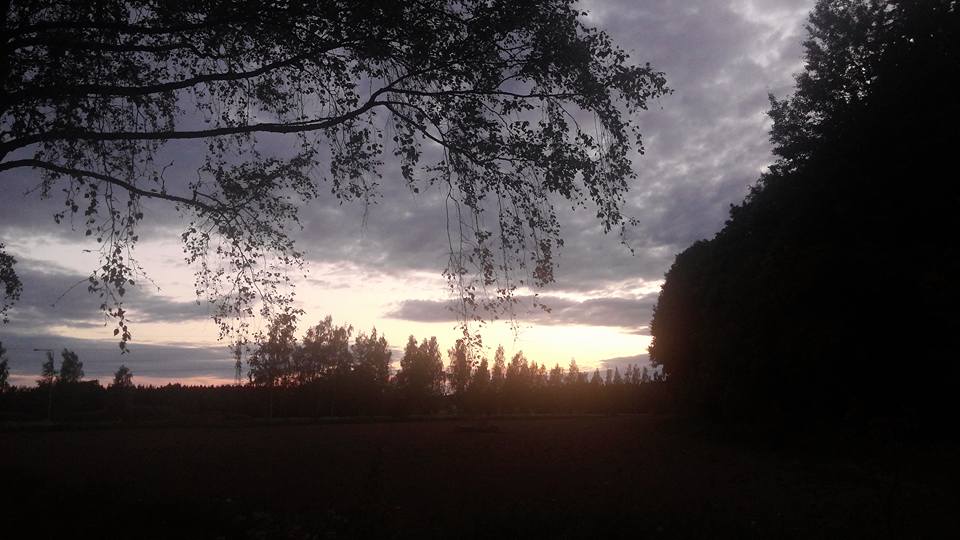 핀랜드 들판 6년중 해가가장긴6월밤11시 가까워도 어둡지 않다.jpg