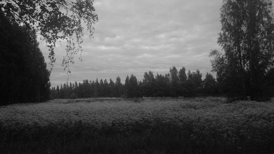 핀랜드 들판 년중 해가가장긴6월밤11시 가까워도 어둡지 않다.jpg