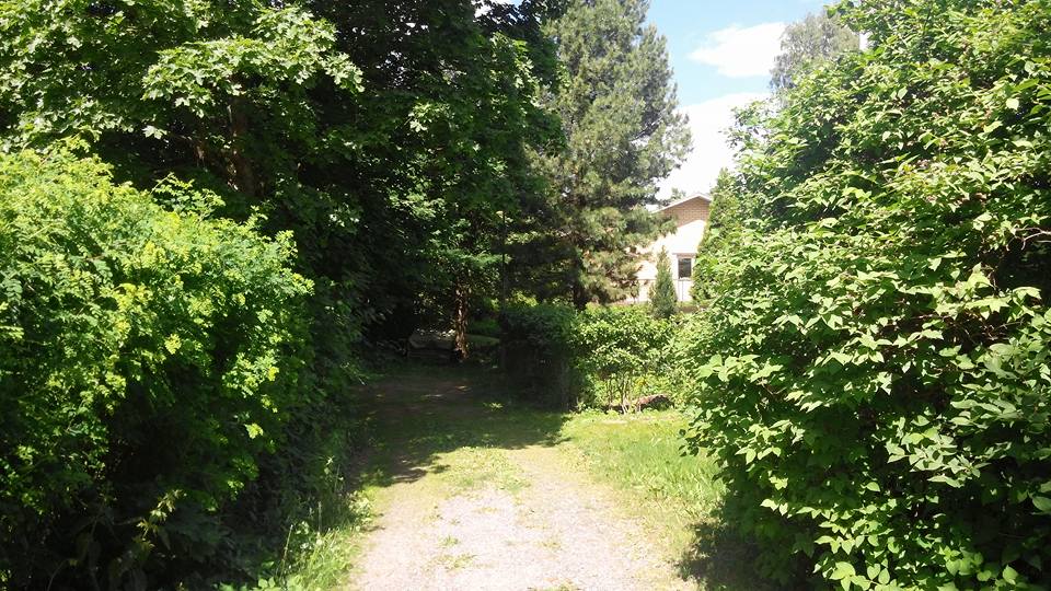 핀랜드 The narrow enterence to the forest1.jpg