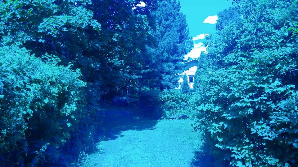 핀랜드 The narrow enterence to the forest3.jpg