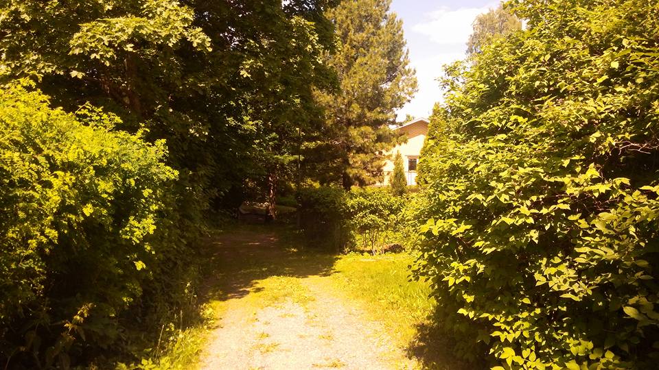 핀랜드 The narrow enterence to the forest.jpg