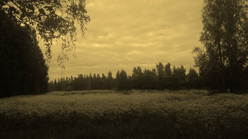 핀랜드 들판 년중 해가가장긴6월1밤11시 가까워도 어둡지 않다.jpg