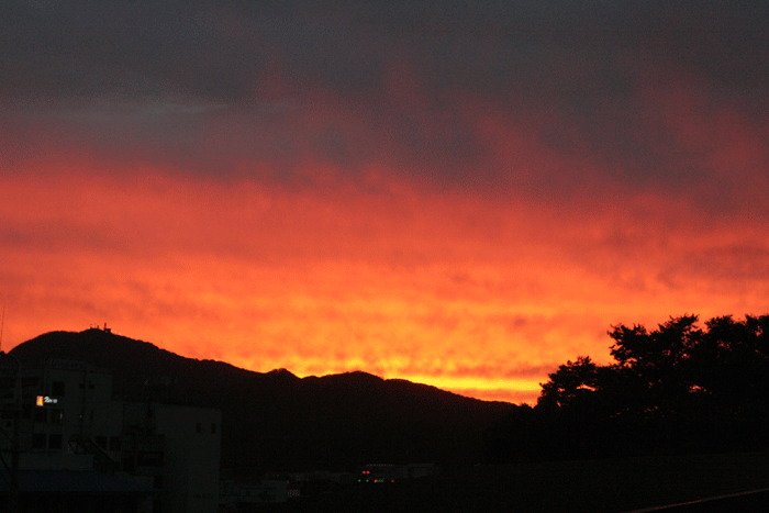 kangwha-sunset--700.gif