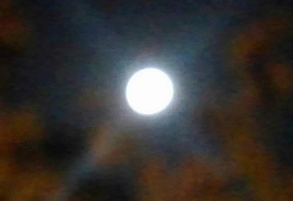 나뭇잎사이 슈퍼문.jpg