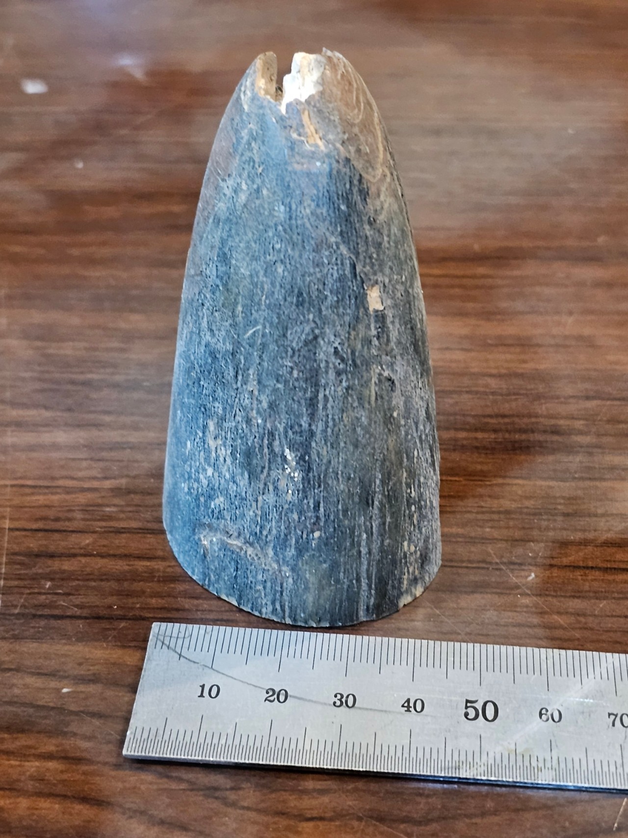 20230901＿104923 (1).jpg