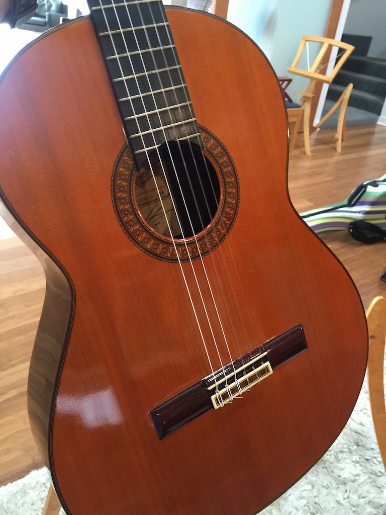 Segovia Ramirez3.jpg