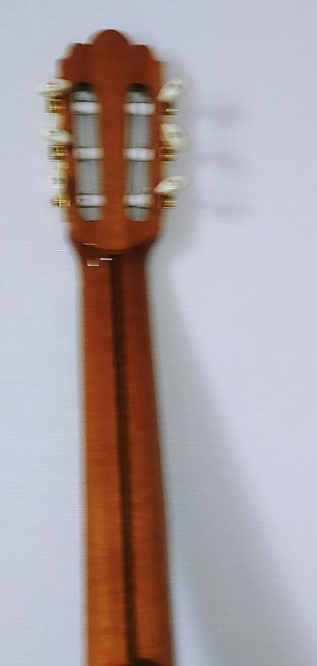 기타매몰 인디언 로즈우드 시더탑.jpg