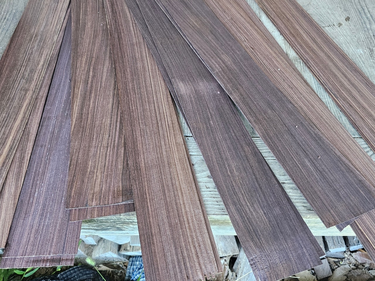 20240829＿103354 (1).jpg