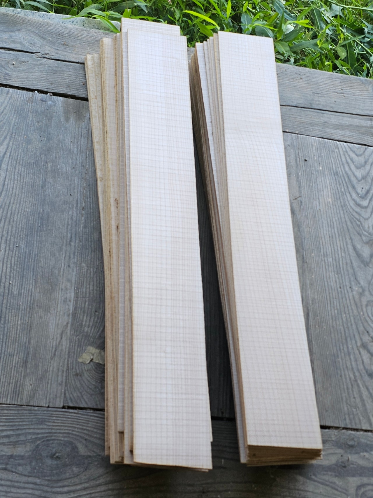 20240829＿093445 (1).jpg