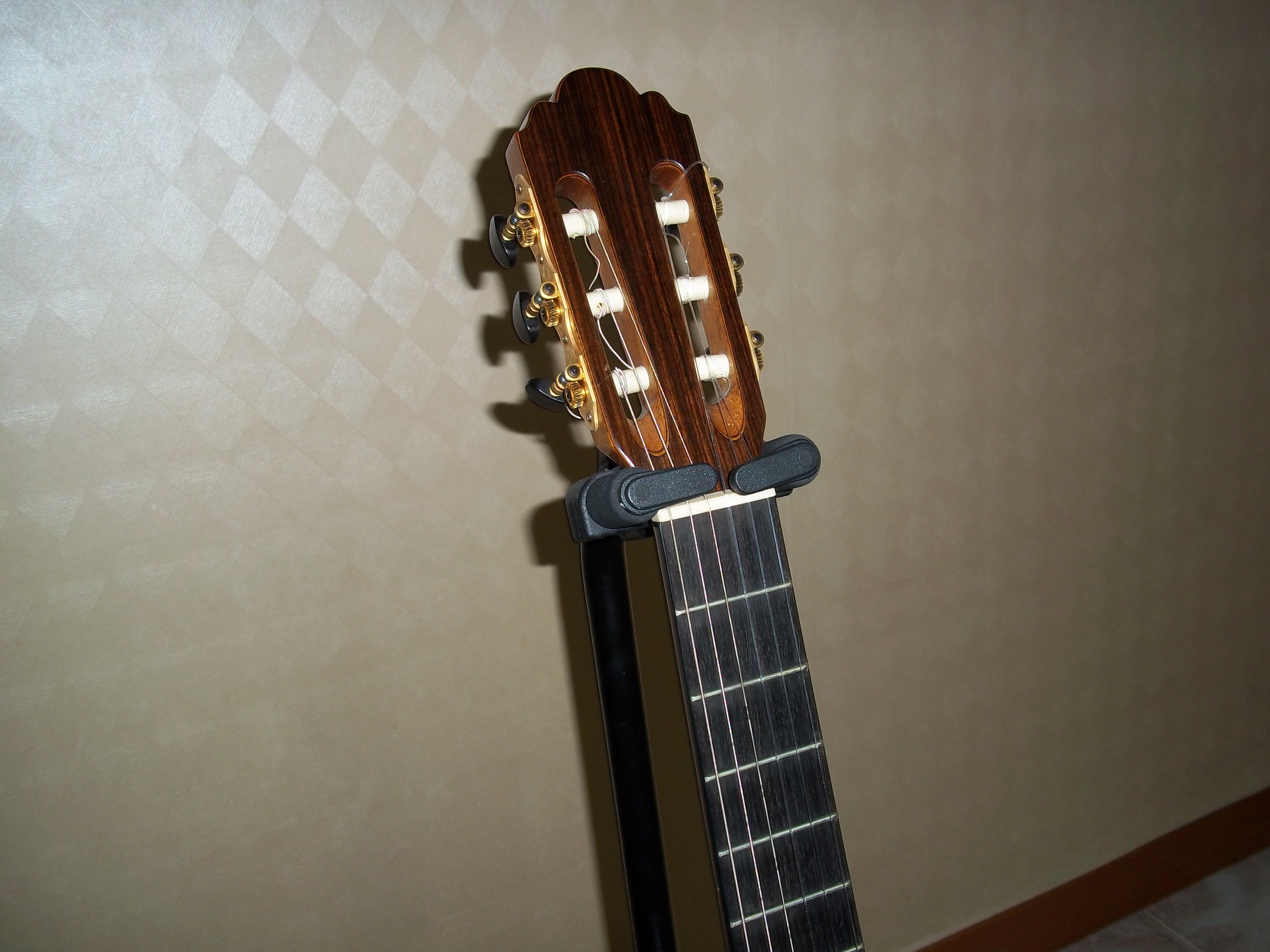 case,guitar 008.JPG