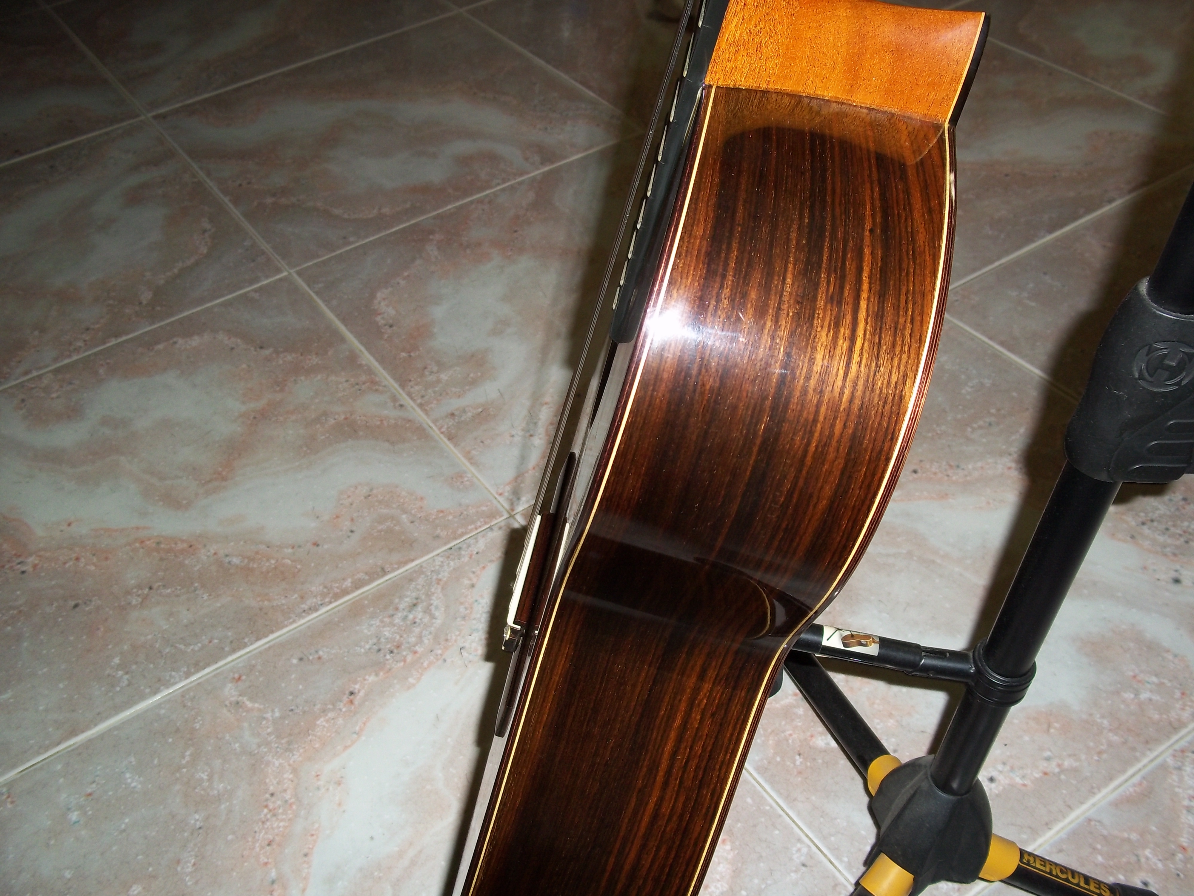 case,guitar 012.JPG