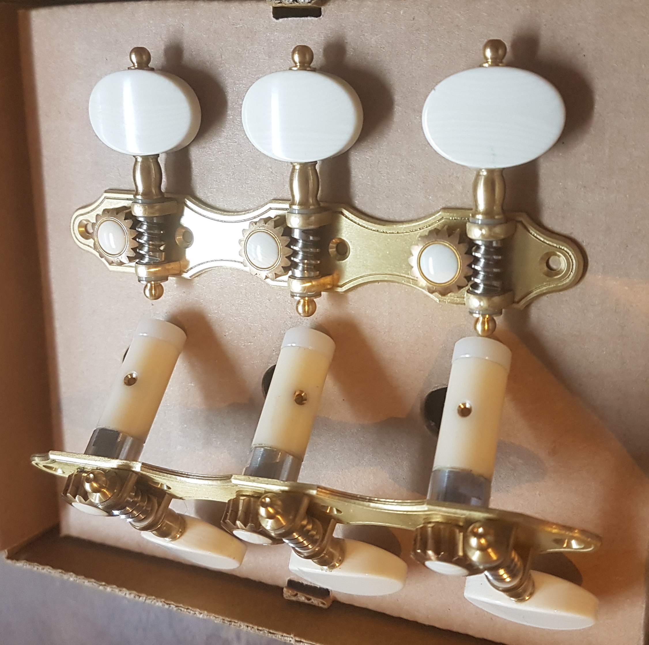 알레시 튜너_사진 2.jpg