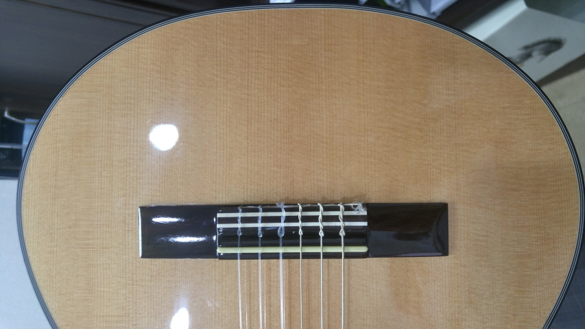 축소6.몸통 아래쪽.jpg