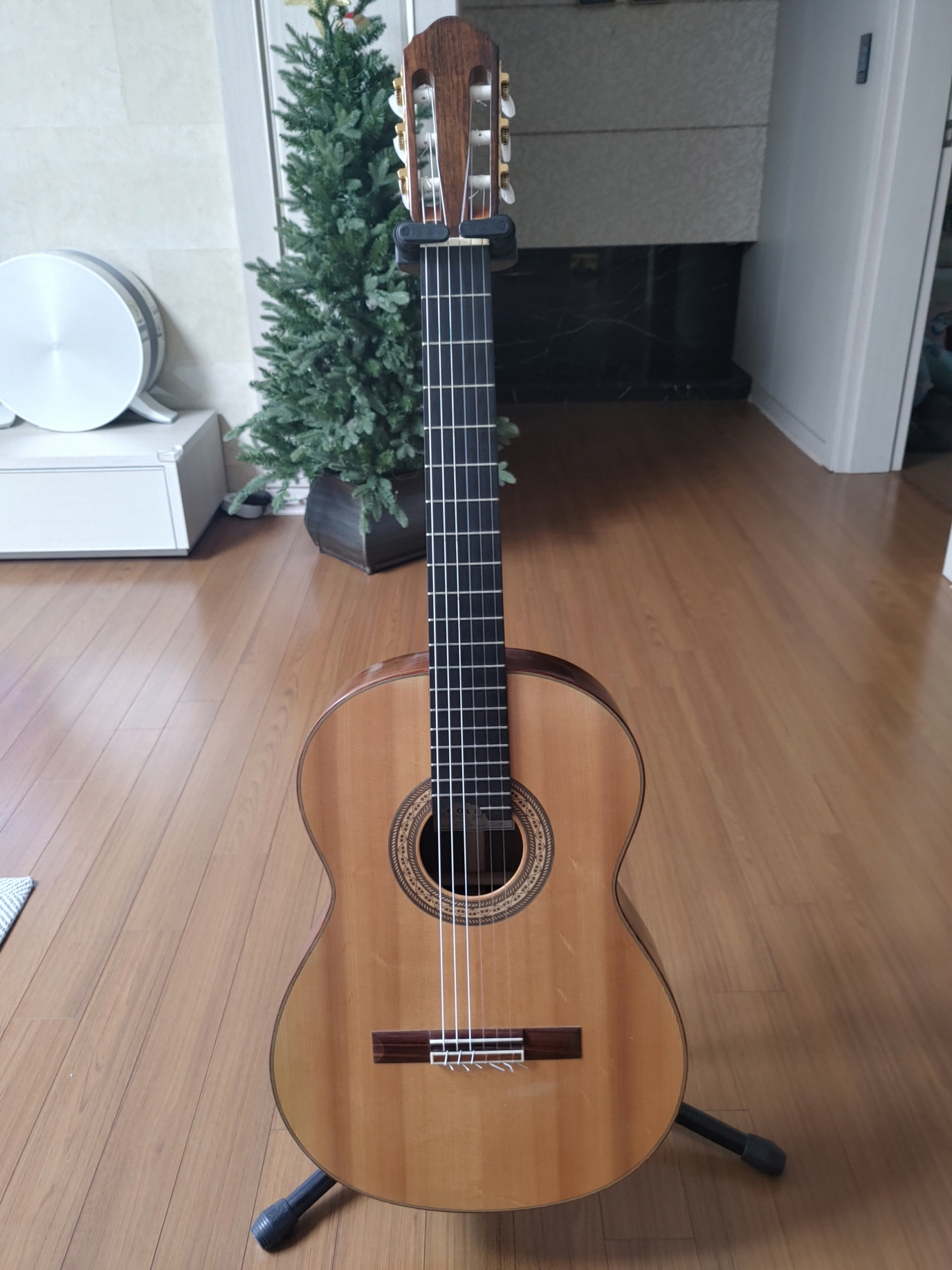 [크기변환]guitar1 (1).jpg